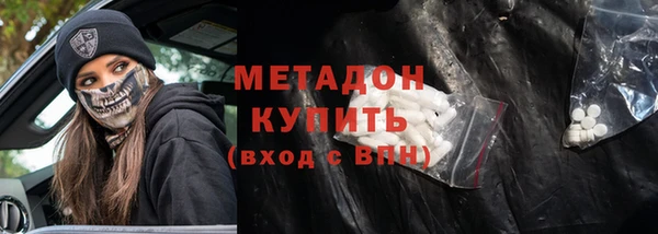 прущие грибы Козельск