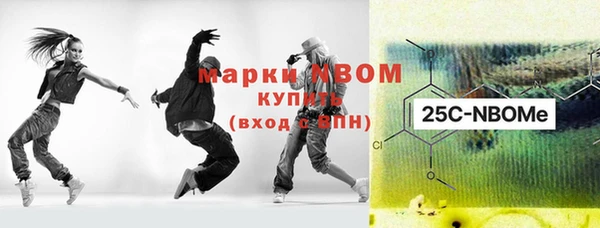 трава Коряжма
