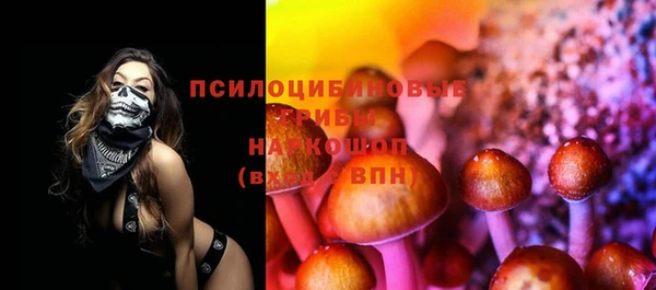 трава Коряжма