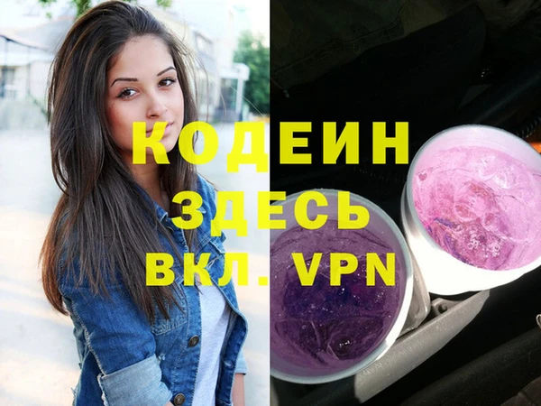 трава Коряжма