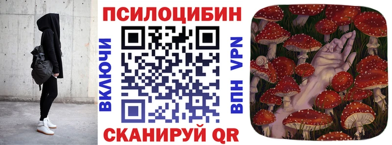 купить  цена  Красный Сулин  Псилоцибиновые грибы MAGIC MUSHROOMS 